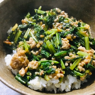 簡単！大根菜と豚ひき肉のピリ辛そぼろ丼♫